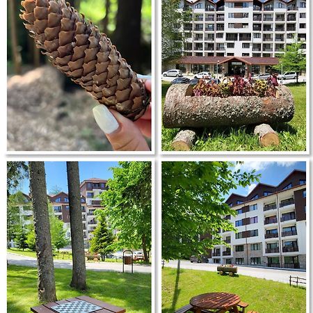 The Green Apartment Boroveț Exterior foto
