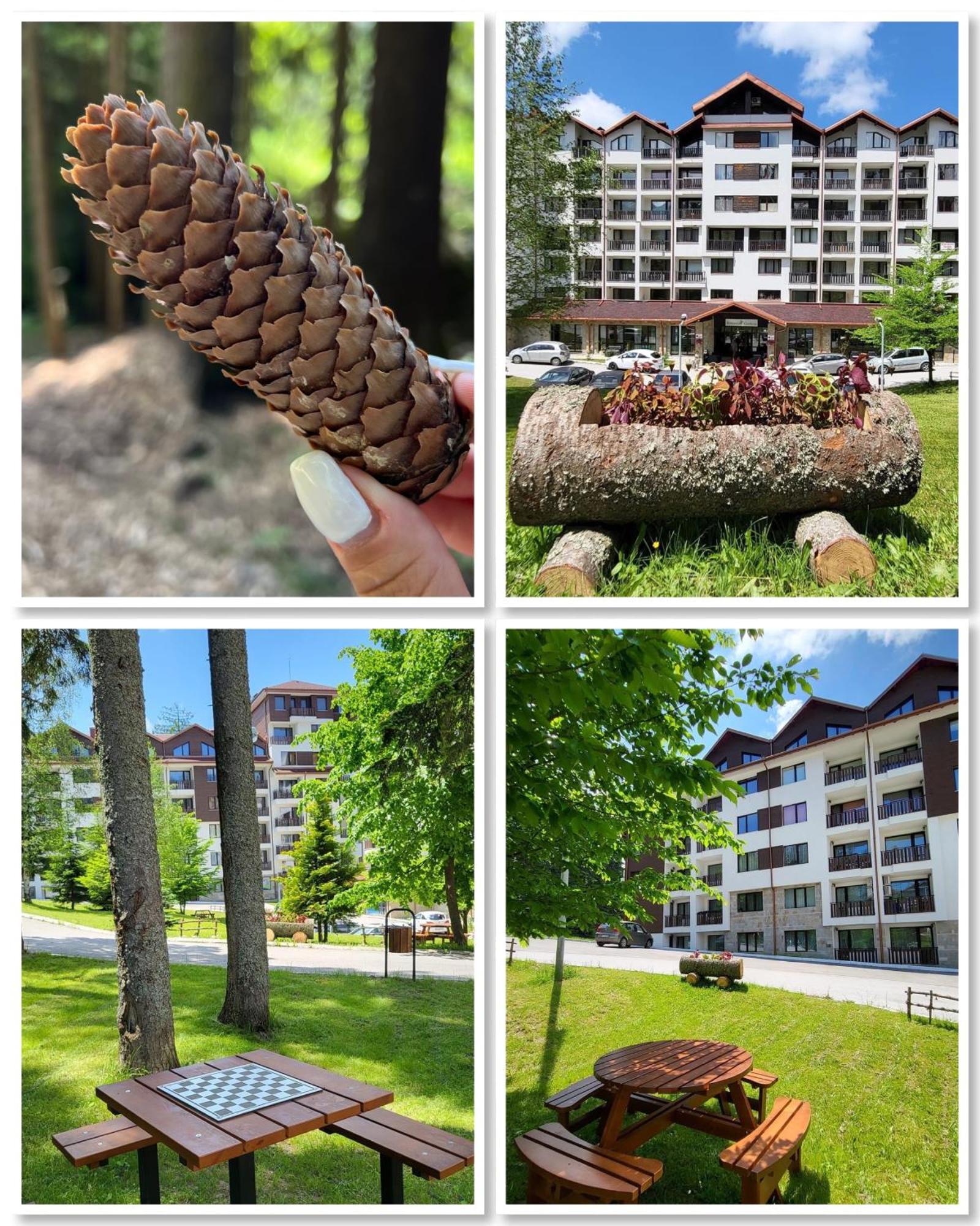 The Green Apartment Boroveț Exterior foto